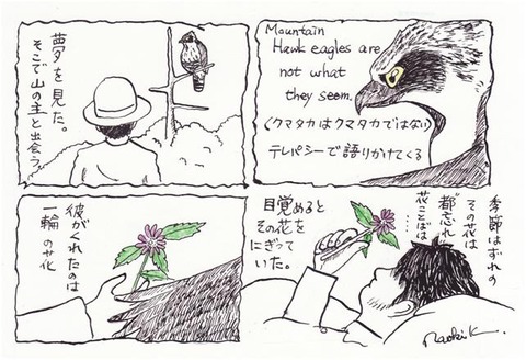 ザ・バードマン最終回