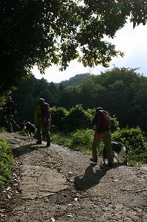 裏山 045