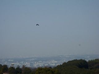 観心寺・延命寺 088