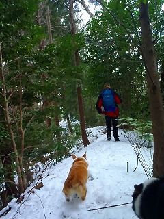 雪のさくら坂 076