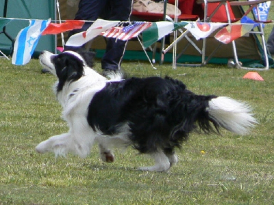 3a165ef5.jpg