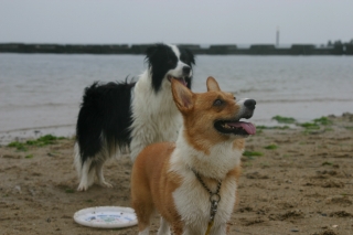 4d736002.jpg