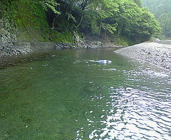 557736d5.jpg