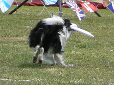 5791776d.jpg