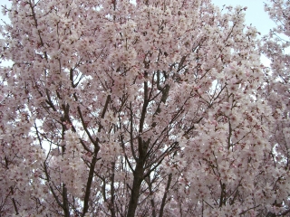 5974f06a.jpg