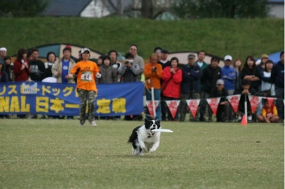 5fcc1fc5.jpg