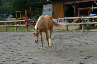 61dcd49d.jpg