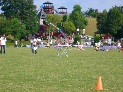7aab288d.jpg