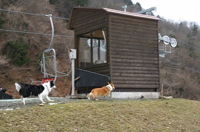 8feb35c3.jpg