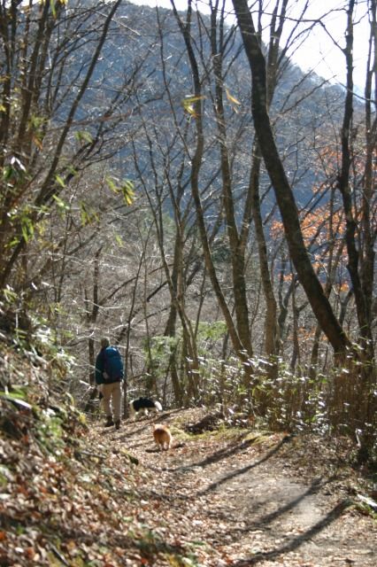 御手洗峡・洞川 053
