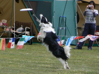 9ab0c710.jpg