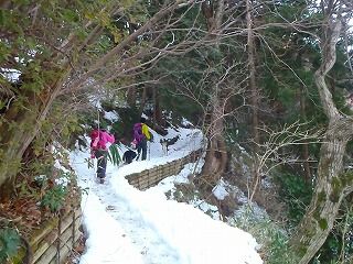 雪のさくら坂 024