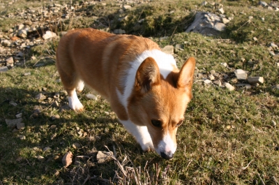 a4bc791b.jpg