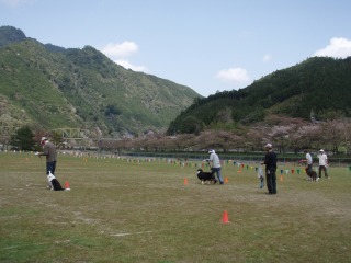 simokitayama 018