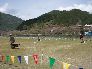 simokitayama 020