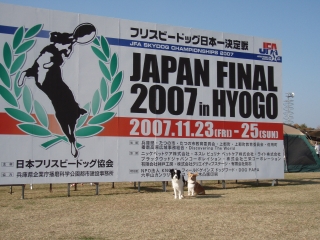 b84d46e3.jpg