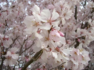 b99f01f3.jpg