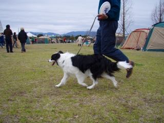 b9d6d53c.jpg