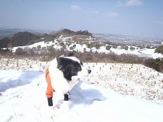 雪のさくら坂 156