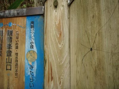 御手洗峡 054