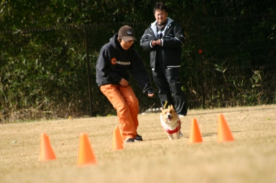 c2213382.jpg