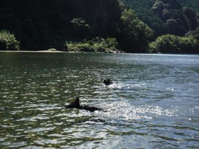 シルバーウィーク南紀旅 118