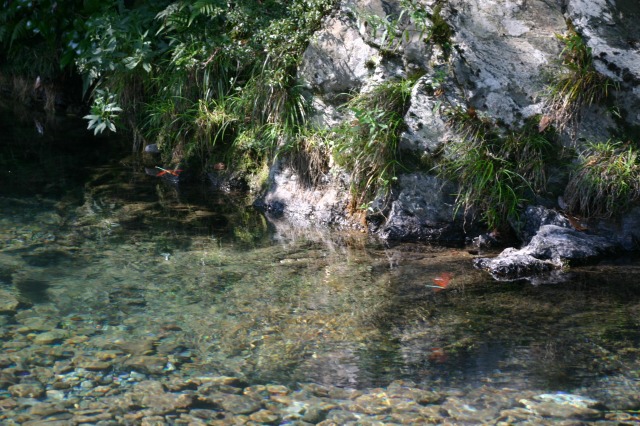 cce33951.jpg