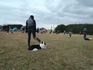 関西本部運動会 053