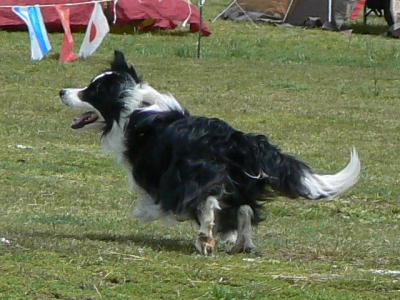 d2013045.jpg