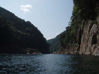 d360f5fc.jpg
