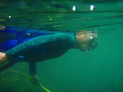d540b1e1.jpg