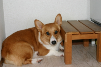d79d61a9.jpg