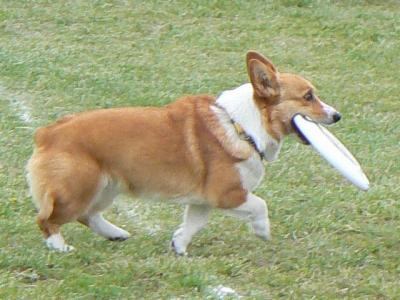 dd68d7d6.jpg