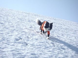 雪のさくら坂 178