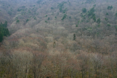 e2a35697.jpg