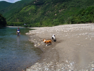 f6111a8d.jpg
