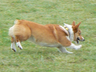 ff895992.jpg