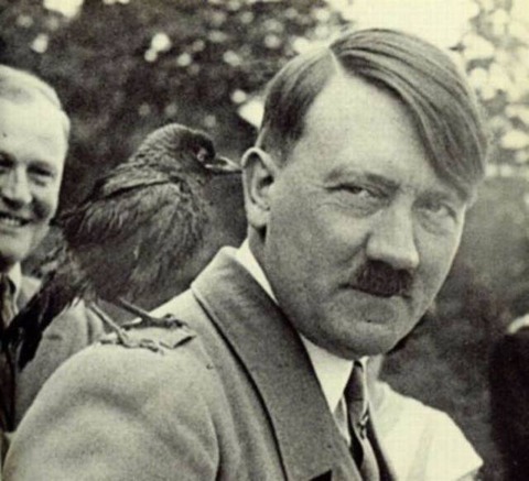 daily_picdump_2075_640_07