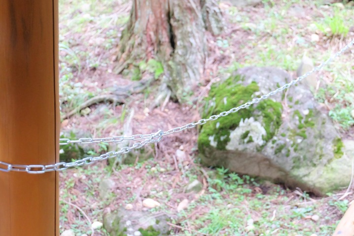 DSCF0990