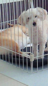 03fd6a38.jpg