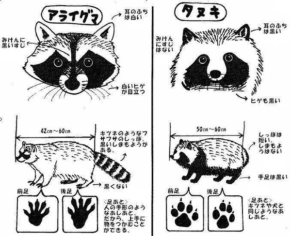 notitle