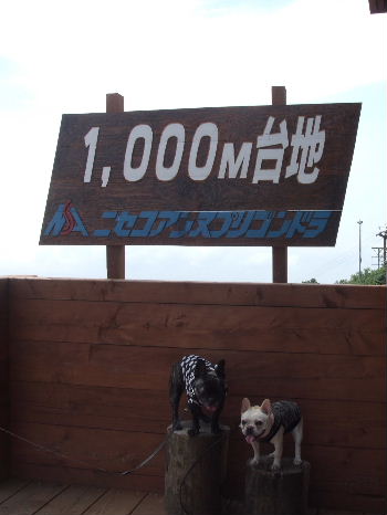�ä������ގ֎�