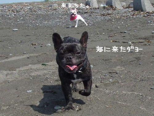 ��ǯ���鳤