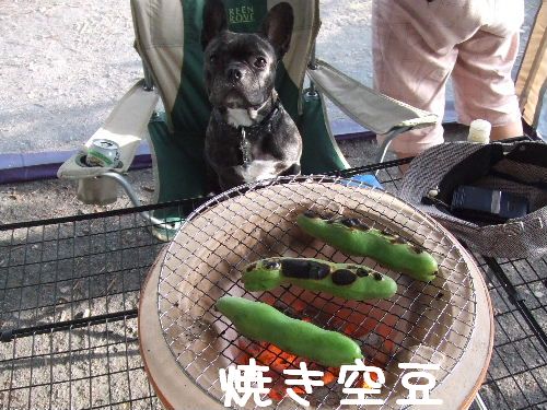 ���ώ����衼