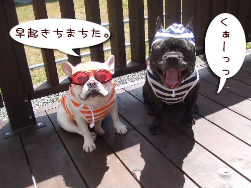 ̲�����ގ֎�