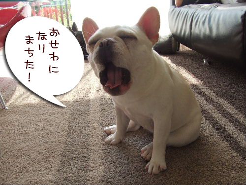 �����äˤʤ�ޤ�����