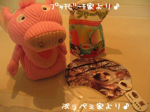 ���ݎ�������