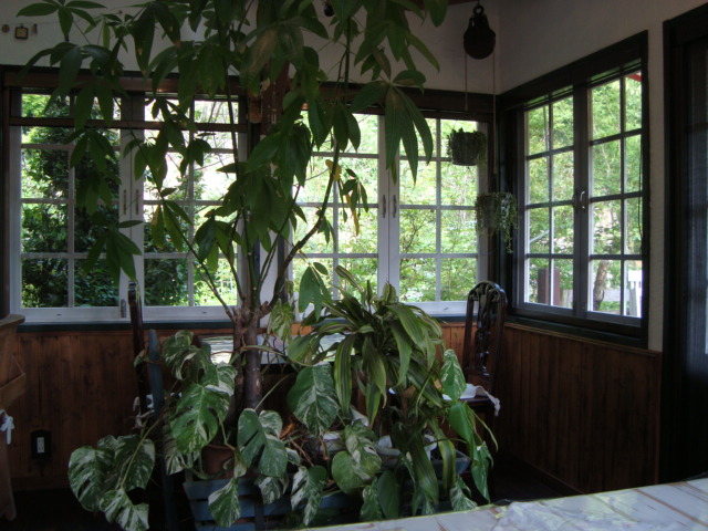 DSC01668