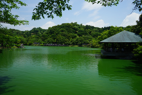 01可睡ゆりの園