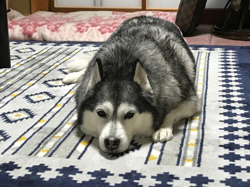 下痢